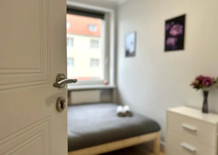 Mmrent Flower * Gdansk