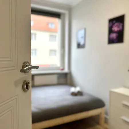 Mmrent Flower * Gdansk